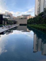 Amber 45 (D15), Apartment #399526651